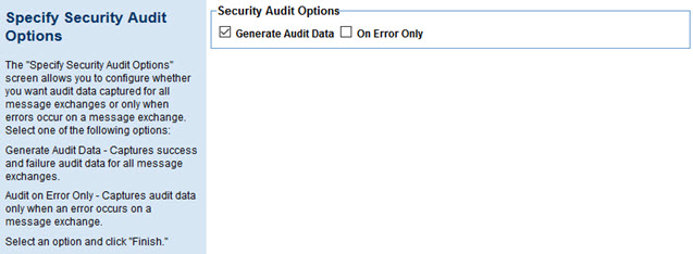 Policy Configuration: Specify Security Audit Options