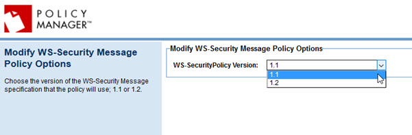 WS-Security Message Policy Options page
